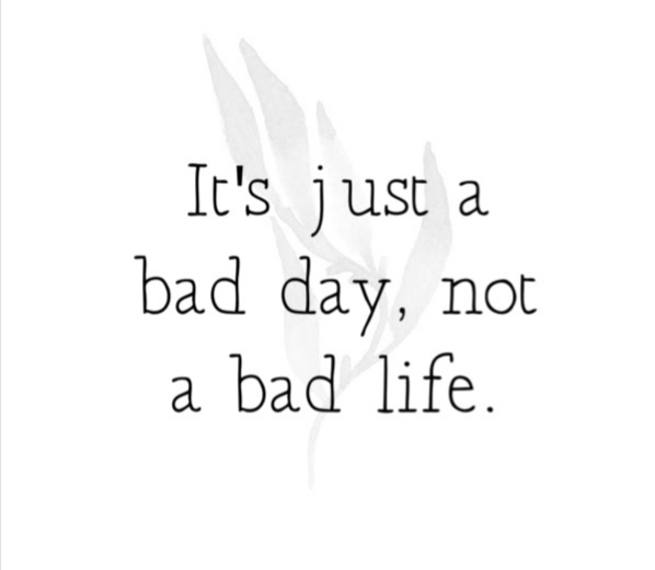 MarciaApril1's tweet photo. Tomorrow's a new day
🌷 https://t.co/RjomCl7PLu