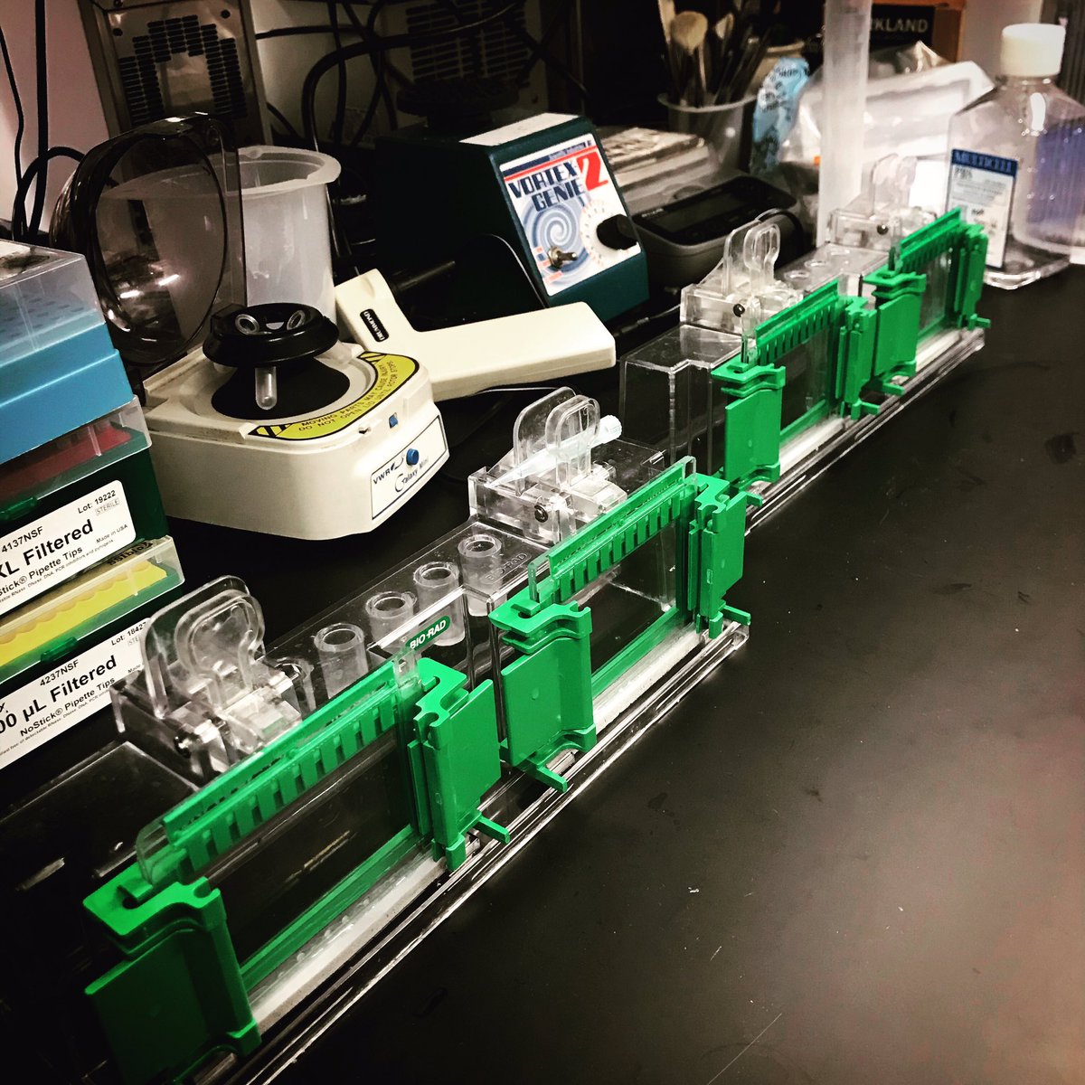 crp_tc's tweet photo. Waiting for gels to form ⏳👀
#westernblot #gel #science #sciencetwitter #labtechnique #thursdayvibes #sciencechatter https://t.co/k1T51qo3MF