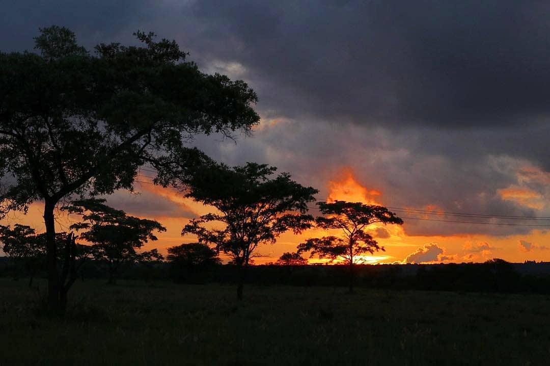 korocreek's tweet photo. Fiery Skies taken by @tasneems_photography

#BushveldLife #AfricanSunset #Modimolle #KoroCreek #SouthAfricanSkies #BushLiving #LimpopoTourism #VisitSouthAfrica #WhereGolfMeetsNature #Sunset https://t.co/Ld93C2oIGx
