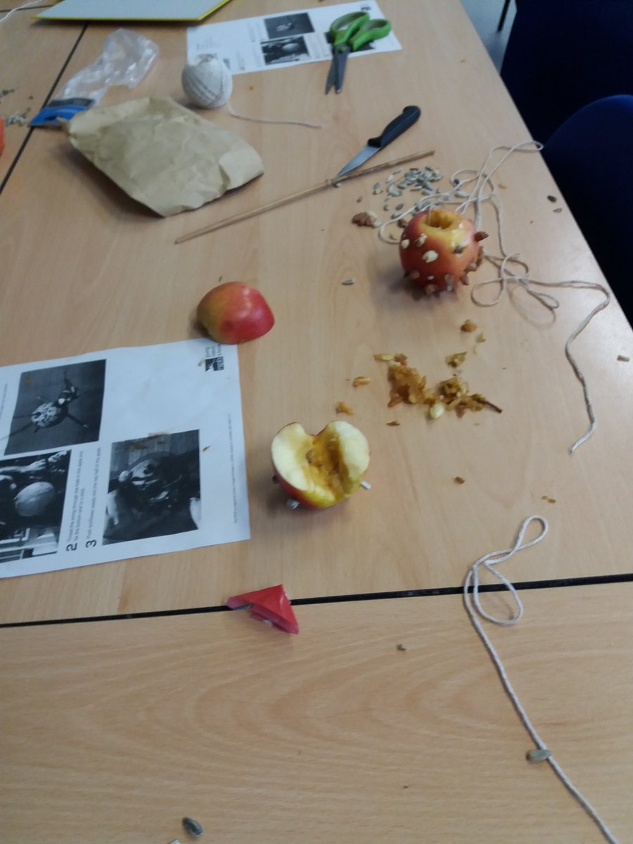 ToniGPASP's tweet photo. The garden gang @StMonicasNLC  making their apple bird feeders for @Natures_Voice Wild Challenge https://t.co/xbg490htlm