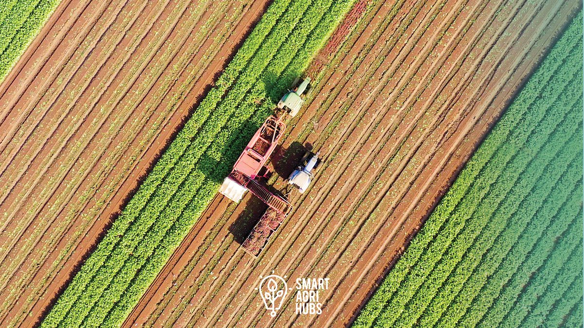 SmartAgriHubs's tweet photo. Today is #WorldSoilDay ! Our #FIE17 is working to improve #SoilQuality by identifying and localizing nutrient input zones to reduce the overall fertilizer input. Read more on what they are doing here 👇
https://t.co/VNrYMRLxWk https://t.co/CuMpxFfkf2
