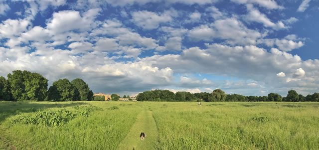 putney_bid's tweet photo. On day 5 of advent we are thankful for the beauty of #PutneyCommon...a haven of woodland, scrubland, heathland and mown recreation areas and ponds. Open to the public 24 hours a day throughout the year. A great place to enjoy the outdoors all year round! https://t.co/ThNBY7Ai0P