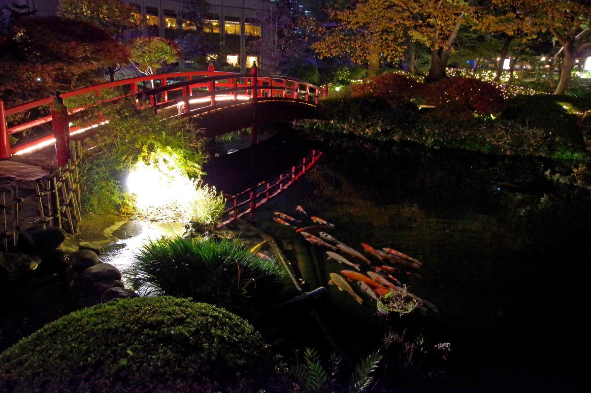 すいしん ホテルニューオータニ開業50周年記念の日本庭園のライトアップ すいしん ホテルニューオータニ開業50周年記念の日本庭園のライトアップ