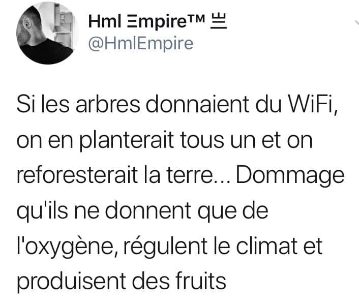 🤣#arbres #climat #agroforesterie