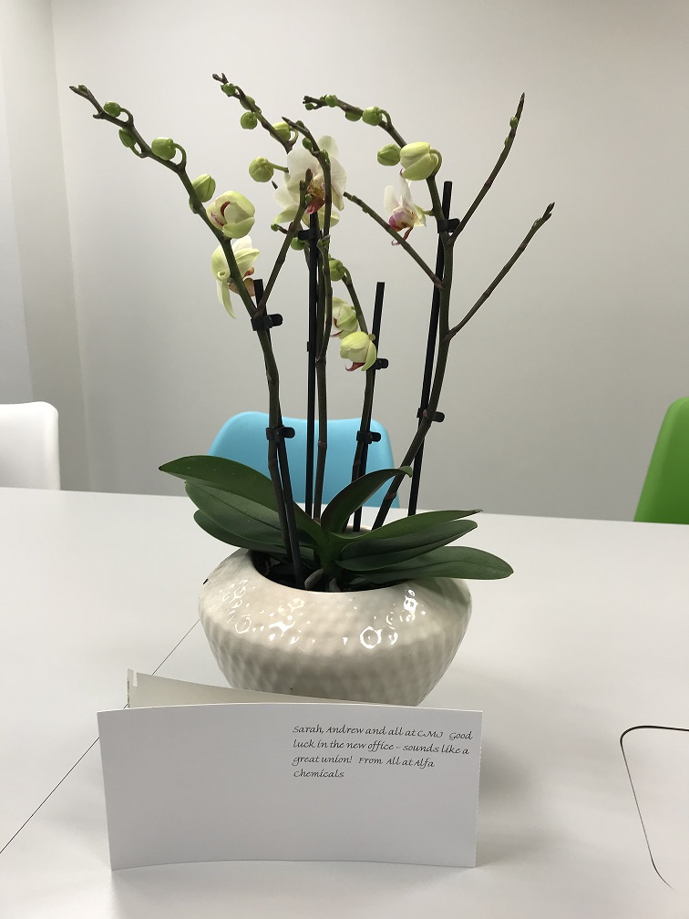 MacbethInsure's tweet photo. Thanks to @AlfaChemicals for the Orchid, delivered in perfect condition by @marksandspencer! Sarah, Andy and the rest of the CMJ team have already had a big impact on the buzz in the office and are instant members of the Macbeth team ;) #officebuzz #macbethteam https://t.co/GeFvJiRTIR