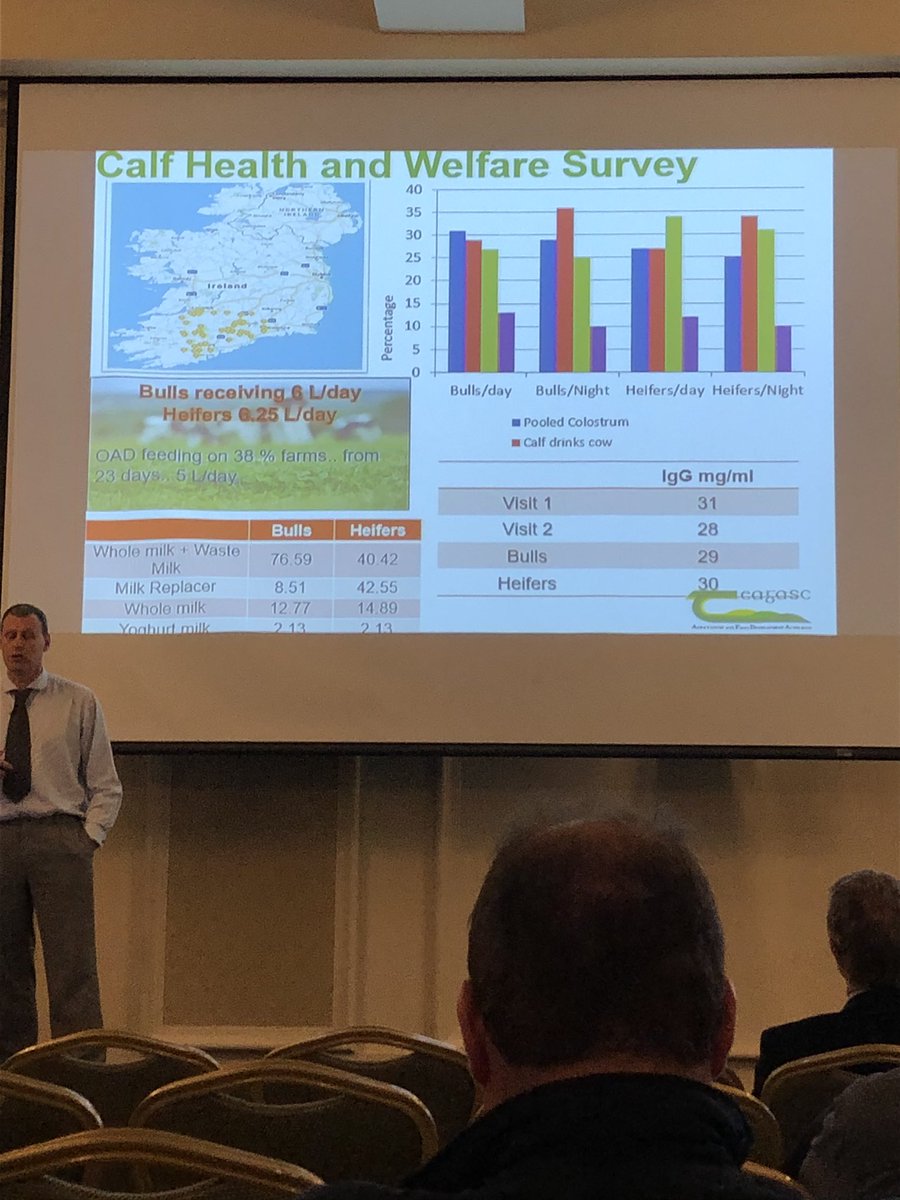 progressivegen's tweet photo. Padraig French, our calf welfare is improving calf mortality in Ireland 4-6% vs c10% internationally, and our calf welfare is improving even with expansion! #nationaldairyconference #ndc19 @teagasc #teamdairy #grasstomilk https://t.co/nmySIsSLRD