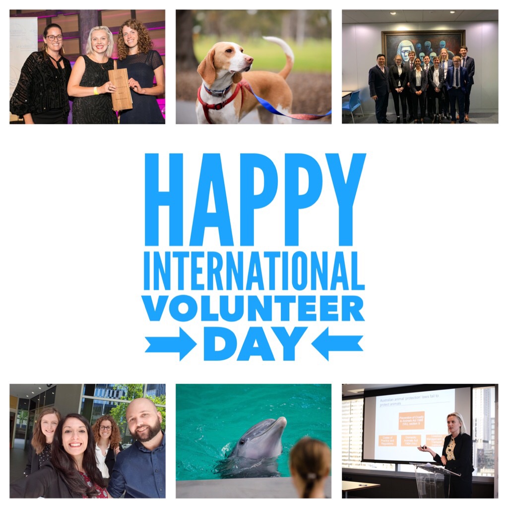 Animal Law Institute tweet media