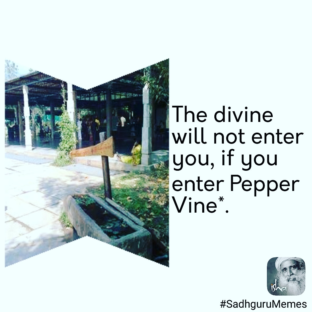 Sadhguru Memes on Twitter "*For those still making the transition from