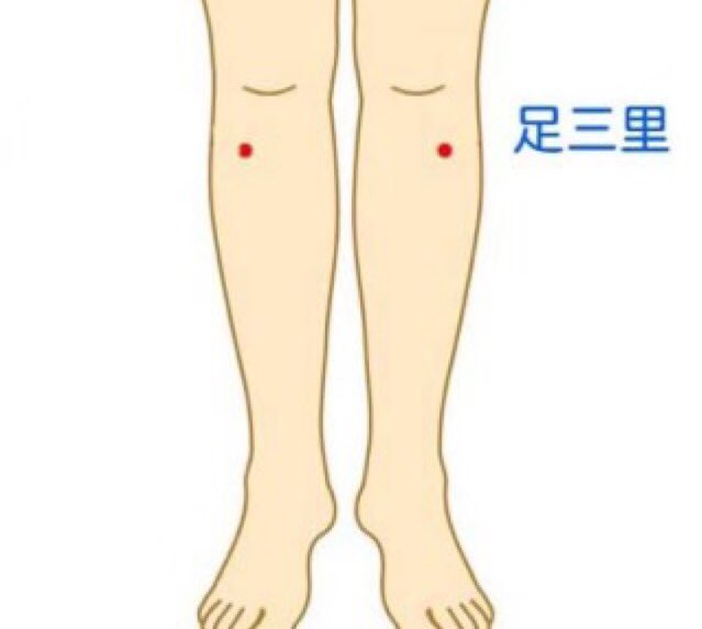 なおみん 健康と美容の中医学 胃腸の不調に足三里トントン 年末年始 胃腸を酷使する季節 胃腸を元気にしたい時は 足三里トントン 膝の指４本下 少し外側をトントン叩くだけ 胃腸が元気になります 私は叩いているそばから お腹がキューっ