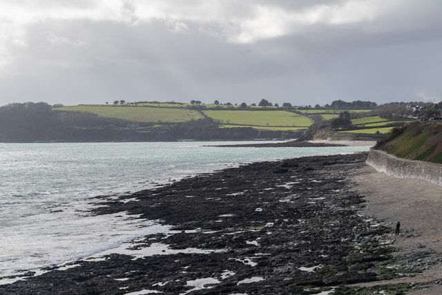 MediaStellaria's tweet photo. Join in with a free #PatchesofLand #communityradio workshop @thesourcefm to record a story about a place you care about in the #Falmouth #Penryn landscape Sat.14th Dec 10.30-12 🌿 Sign up here: https://t.co/GNBiNkUzRQ @PolyFalmouth @faljournalism @FalmouthArt @CwallWildlife https://t.co/lf82hzcXtG