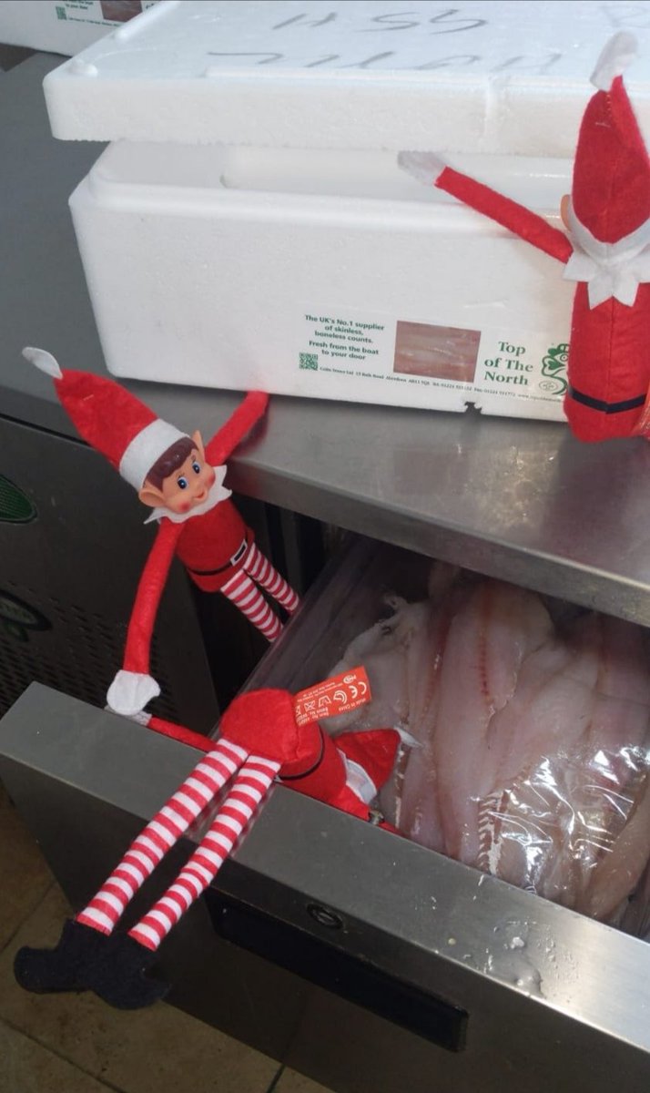 Rowlies elves are up to mischief again...... They love their fresh fish..... They've even managed to open the fish fridge when they should be asleep 😳🐟😂
#rowliesc #fishandchips #freshfish