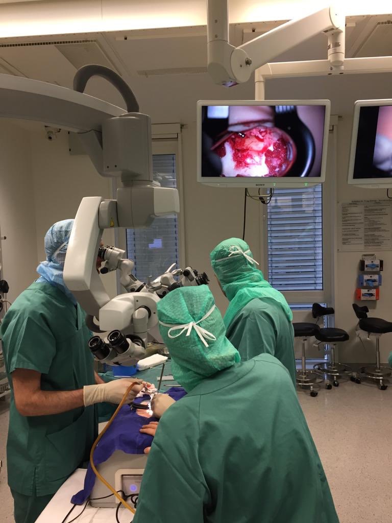 RealSpine's tweet photo. Today‘s #RealSpine inhouse training @StOlavshospital in Trondheim. Surgeons practicing Advanced Stenosis and Herniated Disc training. #surgeons #spine #spinaldisorders #surgery #educationinsurgery #Simulation https://t.co/AaFLmn5A2J