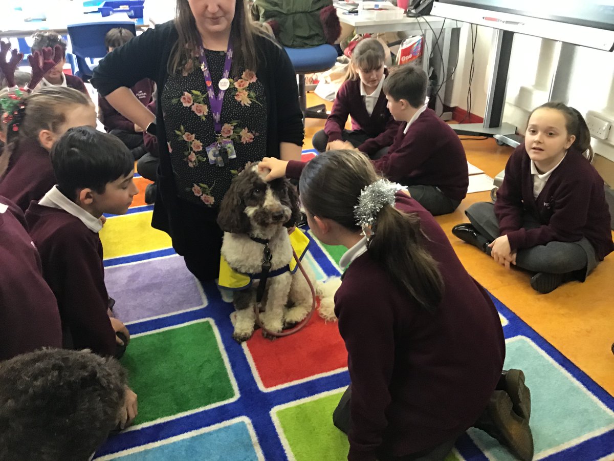 LIPASchool's tweet image. On Tuesday, we had a very special visitor come into school Archie, a therapy dog from @PetsAsTherapyUK He worked with groups of children and stayed to see our open evening. Thank you Archie. It was wonderful to see you again!