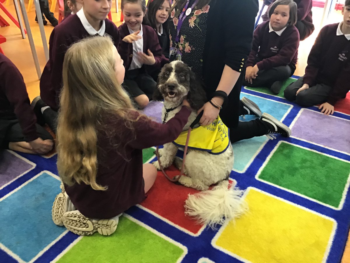 LIPASchool's tweet image. On Tuesday, we had a very special visitor come into school Archie, a therapy dog from @PetsAsTherapyUK He worked with groups of children and stayed to see our open evening. Thank you Archie. It was wonderful to see you again!