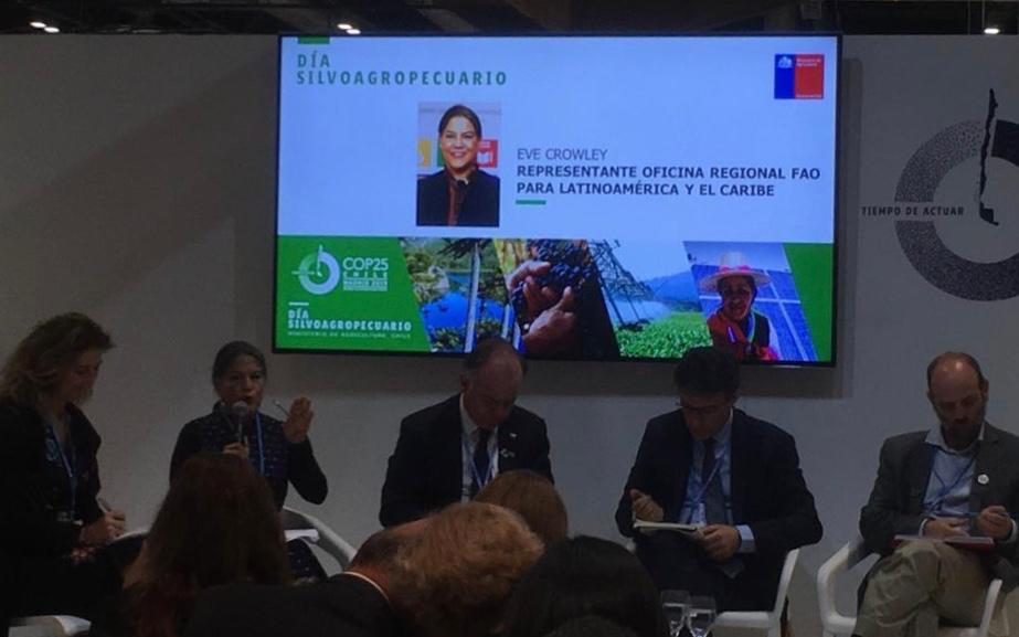 FAOPERU's tweet photo. #Ahora en #COP25 Se inaugura el primer día dedicado a la #agricultura, la #ganader��a y la actividad #forestal como parte de la solución al #CambioClimatico   Participa Eve Crowley, representante adjunta de @FAOAmericas   https://t.co/z0yWTyOUcn  #FAOAmericasCOP25 https://t.co/apNMTtogmx