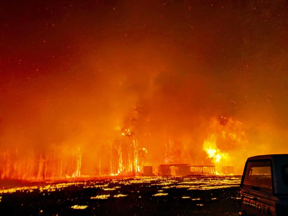 MrDeadMoth tweet media