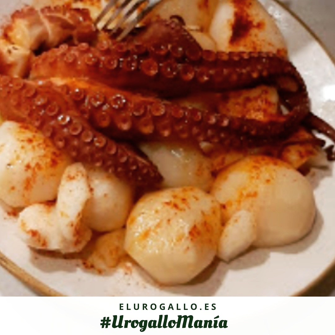 El Urogallo Casa de Campo tweet media