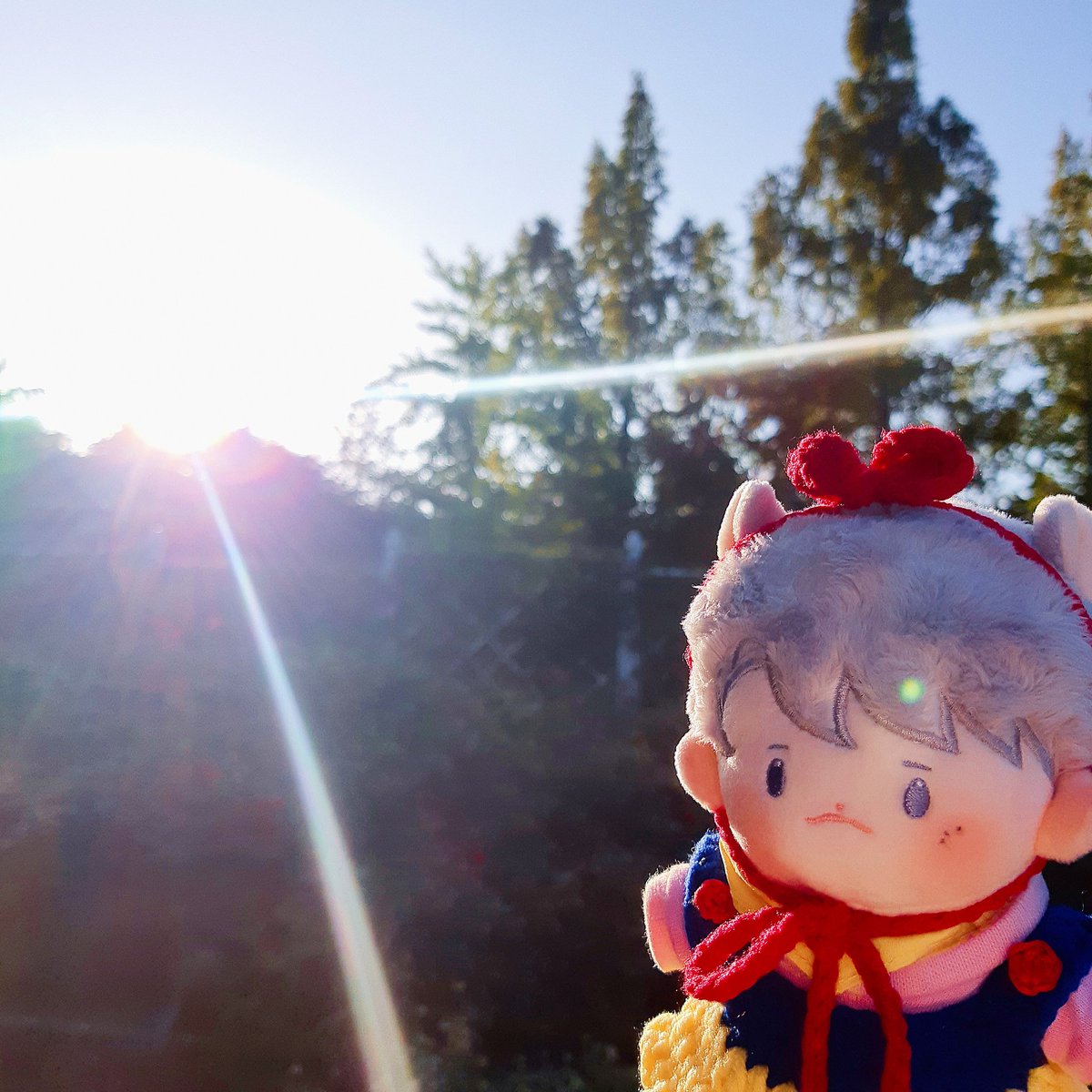 너 진짜 어쩔거야 누가보면 아침에 찍은 줄 알겠어 ㅋㅋㅋㅋ 🐿 : (뭐)