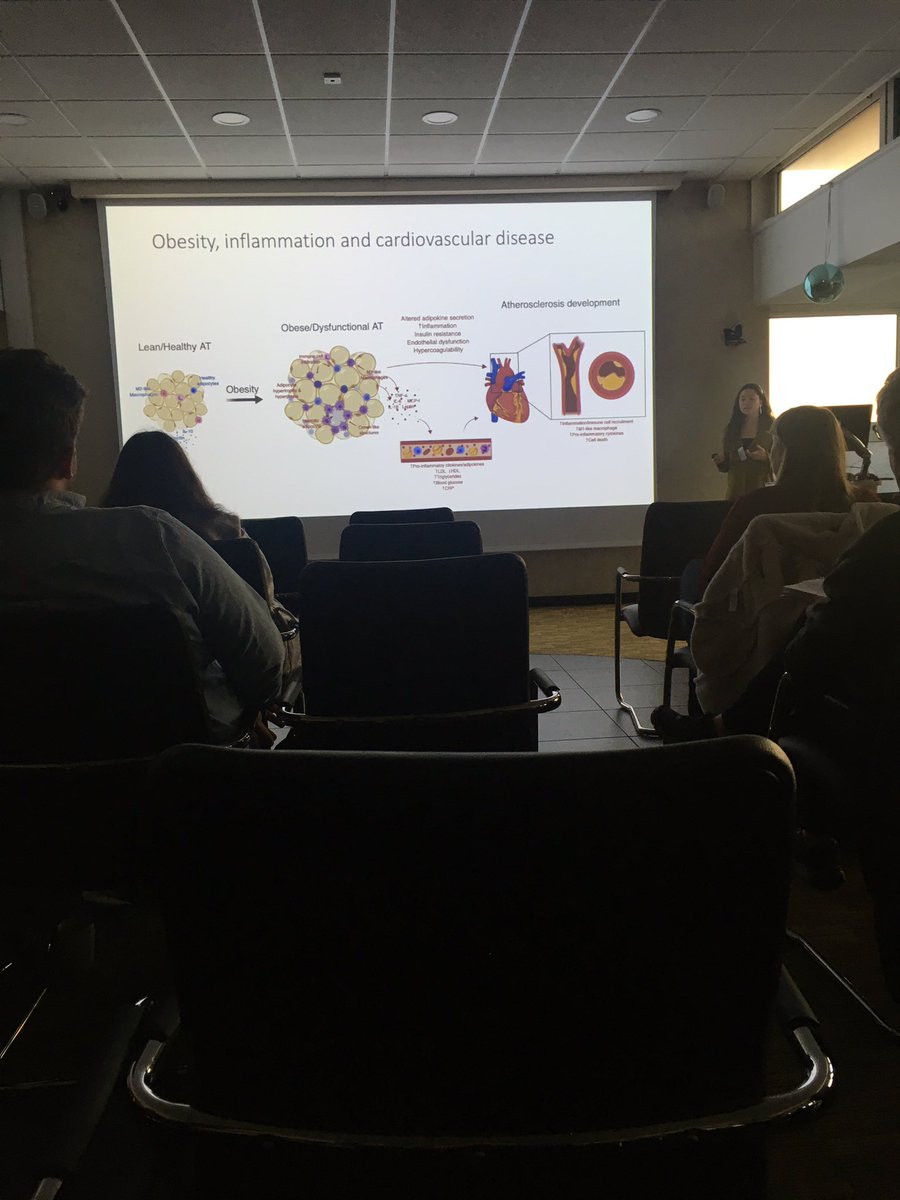 Congratulation to <a href="/Laumcampesino/">Laura MartínezCam</a> for the great talk on TRIB3 in atherosclerosis at the Northen Vascular Biology Forum <a href="/NVBF_News/">NVBF_News</a> #NVBF_2019