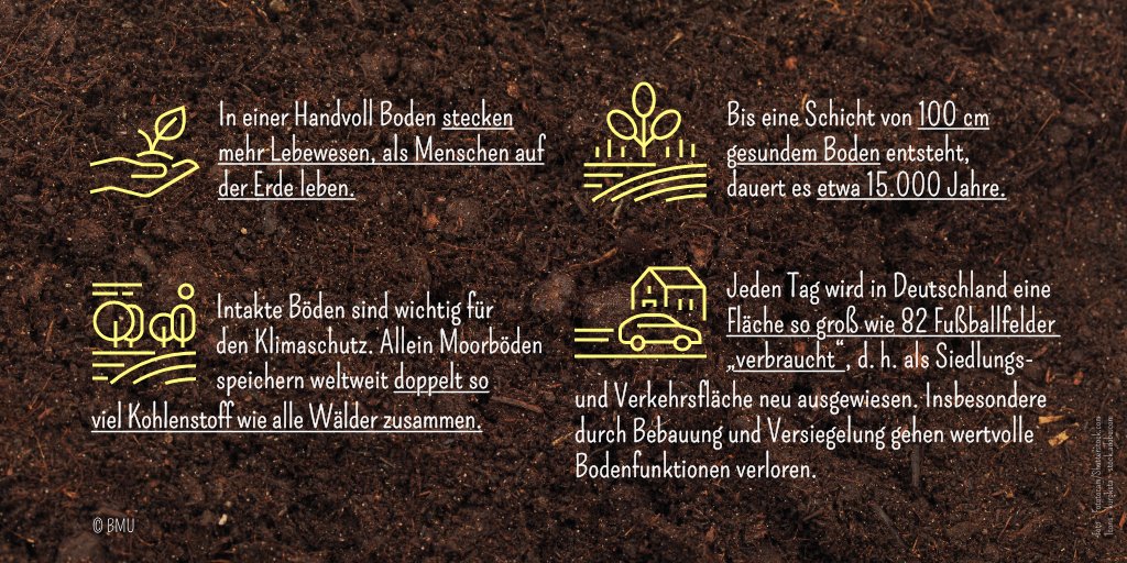 In einer ✋ voll fruchtbarer Erde gibt es mehr Lebewesen als Menschen auf der ganzen 🌍!  Zum #Weltbodentag weitere Zahlen &amp; Infos, warum es wichtig ist, gesunde Böden zu erhalten: