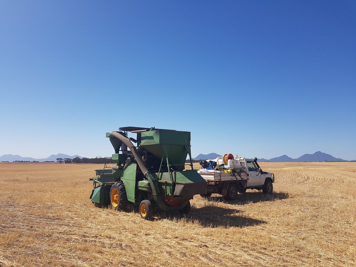 HopkinsonRohan's tweet image. The old girl getting it done. On the other side of the stirlings this time