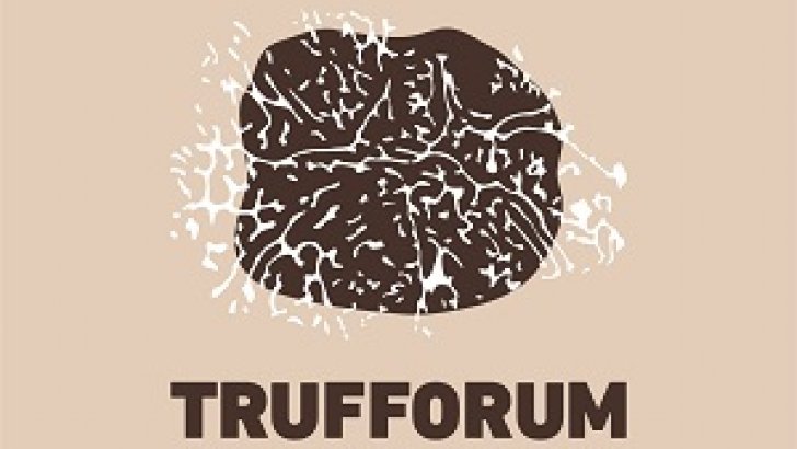 @Europeanmico is glad to inform you that the III edition of @Trufforumofic will be held in #vic (#Barcelona) on January 24th-26th, 2020. Congratulations! #cooperation #europe #truffle  @dipuavila @Occitanie @ctforestal @CITAAragon @Ayto_Soria @aj_vic #man150p #goldentruffle