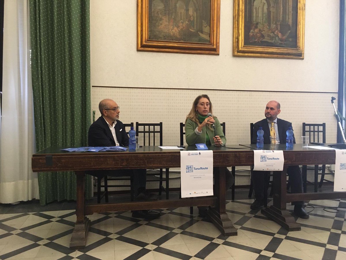 Tuna Route tweet media