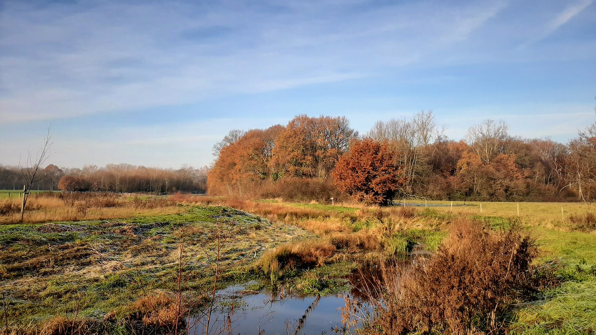 inja5248's tweet photo. de #Middelsgraaf meandert langs #Hommelheide en
door de #Doort ππ
heerlijk wandelweer vanochtend @magnifiekZL https://t.co/GA1EmZNVMu