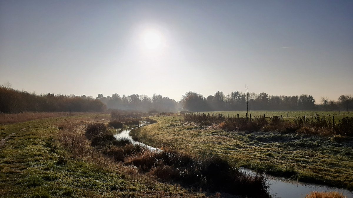 inja5248's tweet photo. de #Middelsgraaf meandert langs #Hommelheide en
door de #Doort ππ
heerlijk wandelweer vanochtend @magnifiekZL https://t.co/GA1EmZNVMu