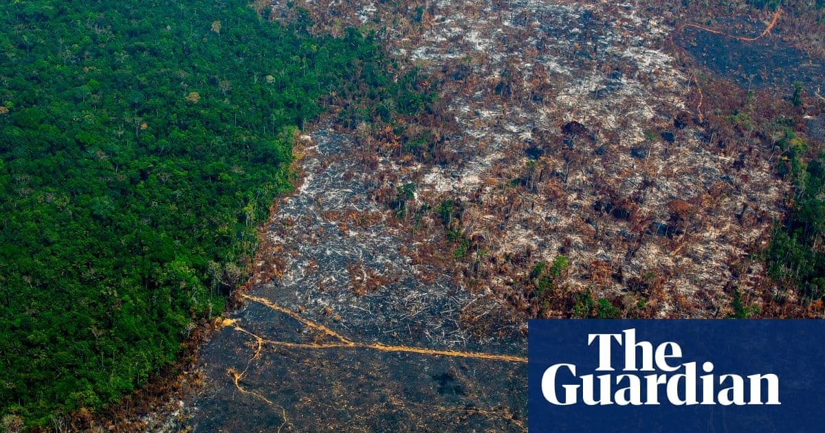 SebComanPhoto's tweet image. UK firms urge Brazil to stop Amazon deforestation for soy production - buff.ly/365PoWX @guardian