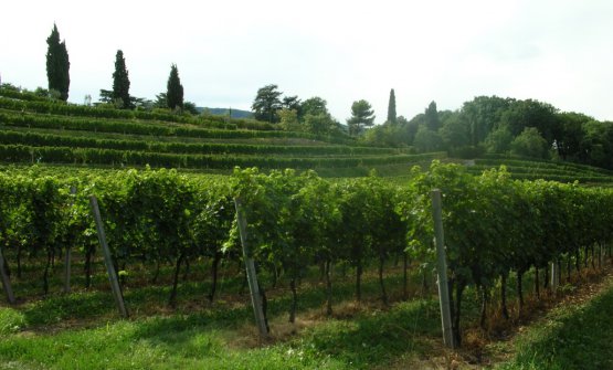 Identità Golose tweet media