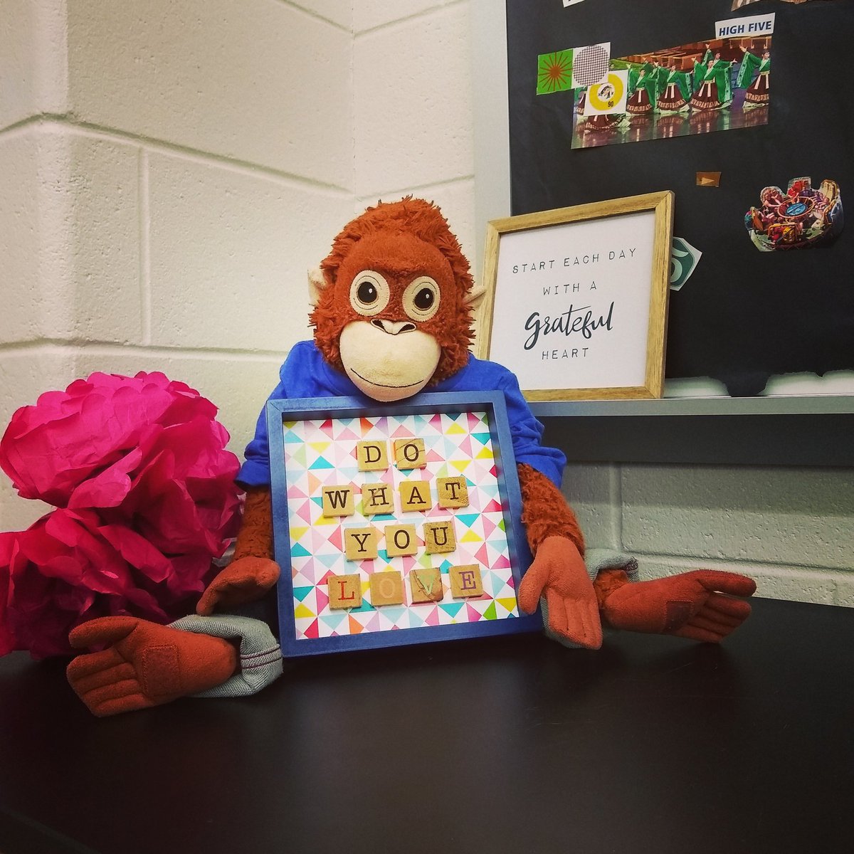 nigelsheadache's tweet photo. I'm lucky to live in a classroom where I can do what I love with friends that I love every day.
Mrs. Alexander doesn't live here, but she's lucky to work here for the same reasons... and she's coming back today!
#classpet #mathmonkey #middleschoollife #mrsalexanderismissing https://t.co/so1A3nD9Qd