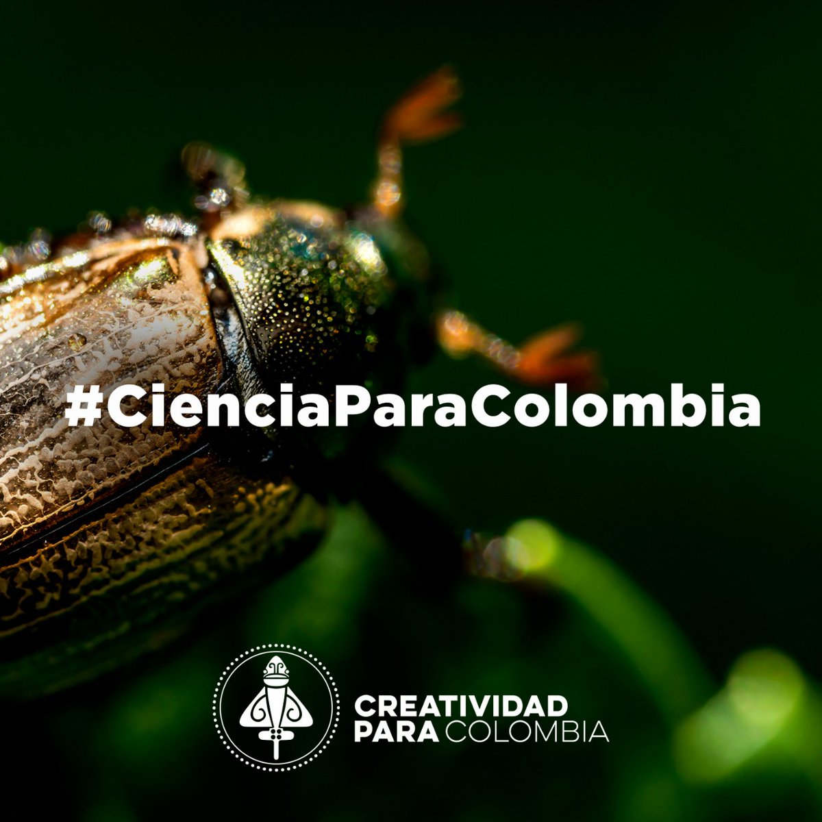 Hoy se firma el decreto que crea el Ministerio de Ciencia, Tecnología e Innovación. Un acierto para el avance del conocimiento nacional y el estímulo a todo lo que nos hace potencia.

#CienciaparaColombia <a href="/IvanAgudeloZ/">Iván Darío Agudelo Zapata</a> @GuzmanBogota