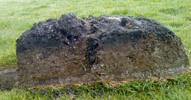 BernhardCompany's tweet photo. The lack of air circulation in the soil reduces oxygen, which can be very detrimental to the soil profile and consequently negatively affect #TurfHealth.
Click here to discover the best way to manage the black layer -https://t.co/zYpvfv4Vc6
#WorldSoilDay #Turfbreeze https://t.co/z3NsVRBUkU