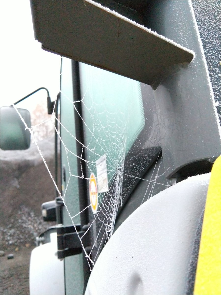 Christo324085's tweet photo. @NnbjBlue
#BlueProjet52
#Givré #Semaine49
Un matin gelé sur un chantier givré. Même l'🕷️��️. Dentelles de cristal https://t.co/nQUZTbuGzx