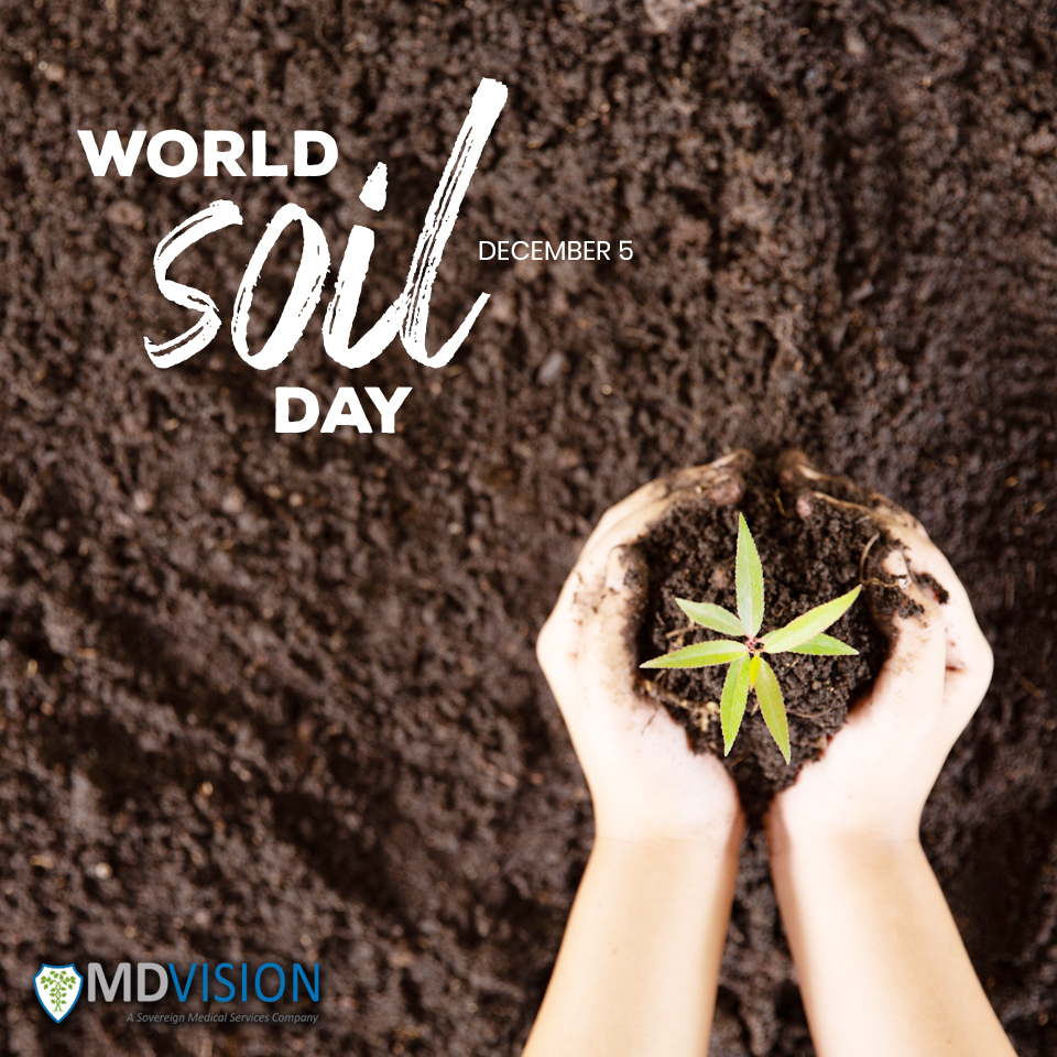 mdvisionpvtltd's tweet photo. World Soil Day being observed today
Theme "#StopSoilErosion, #SaveOurFuture"-Let's pledge to adopt soil management practices.
#WorldSoilDay #Soil #SaveSoil #December5th #MDVision https://t.co/x3hgQ2zjLC