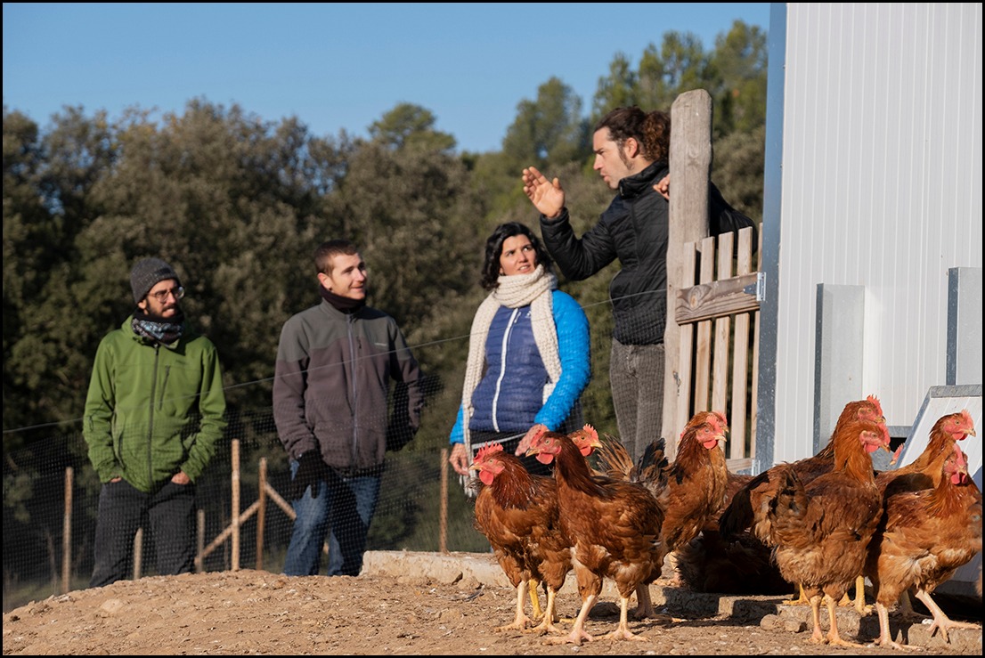 Associació Iniciatives Rurals Marítimes Catalunya tweet media