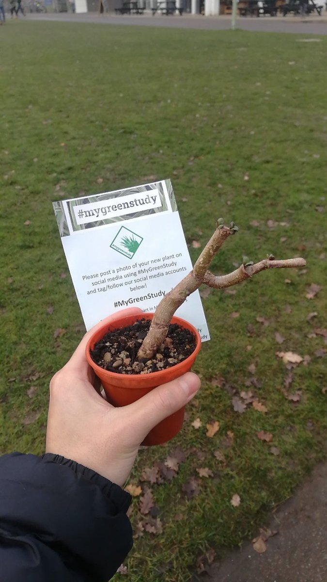 I have plant #MyGreenStudy