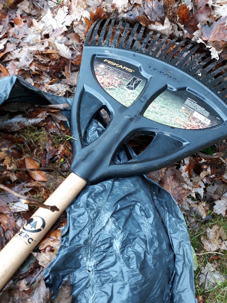 morleygardener's tweet photo. Bagged up & ready to sit quietly in a corner of the garden until next year. #leaves still being cleared up🍂One of the best Leaf Rakes around in my opinion @FiskarsAmericas #gardening #horticulture #freemulch #freecompost 👨🌾 https://t.co/lPt5IyeZsC
