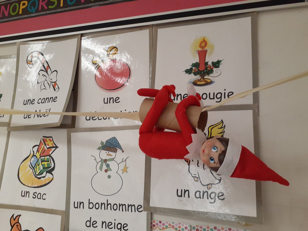 AubeBryanna's tweet photo. Oh non, Biscuit! Our naughty class elf TPed us! 🎅 #PSSLearning @ASDWLimelight https://t.co/Lide2XpFzn