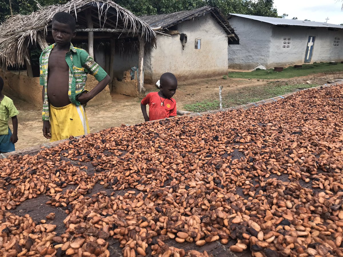 vercaeren's tweet photo. Enjoy chocolate without second thoughts, quotes DeCroo
#BeyondChocolate #DeShift #IDH https://t.co/A2UXRubbH5