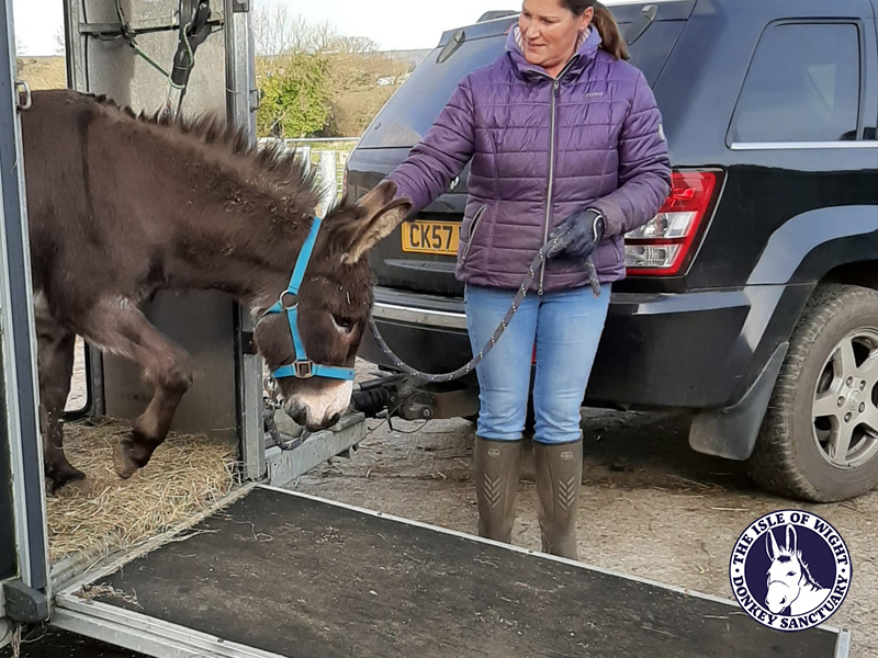 iowdonkeys's tweet photo. We like you to say a warm welcome to our newest member of the family, Moses, who arrived at the Isle of Wight Donkey Sanctuary this morning.

#welcomemoses #moses #christmas #lovedonkeys https://t.co/Z0nyai1ZgB