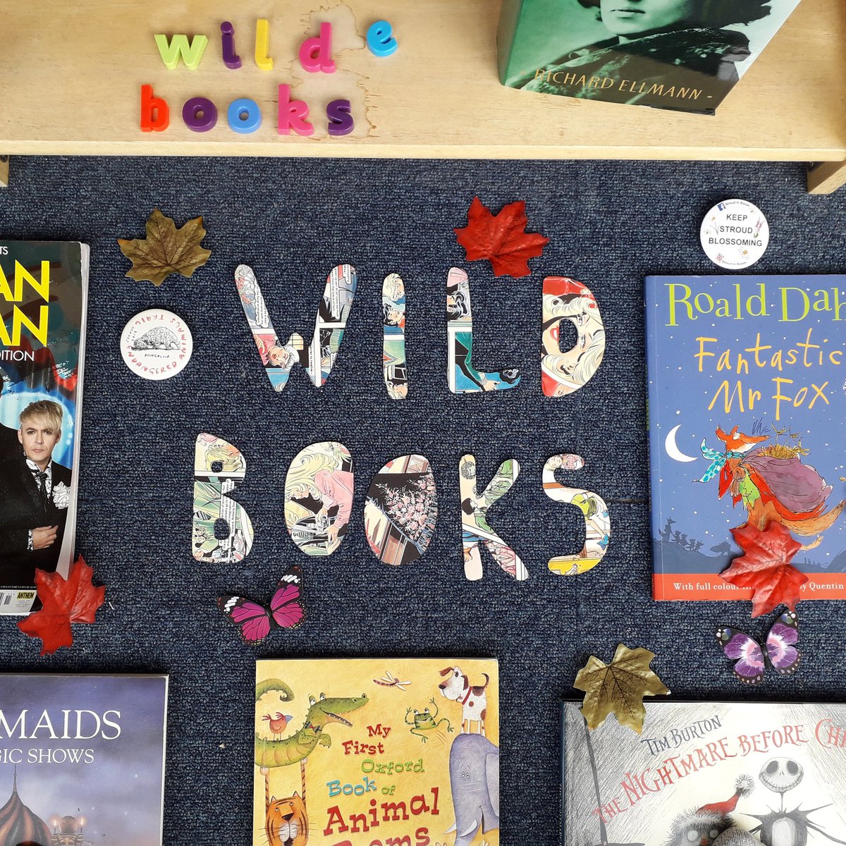Just putting the finishing touches to our 'Wild Books' display for the Goodwill Evening Window Competition 🌲📚🌞 #Stroud #stroudgoodwillevening #shoplocal  #buysecondhand #bookshop