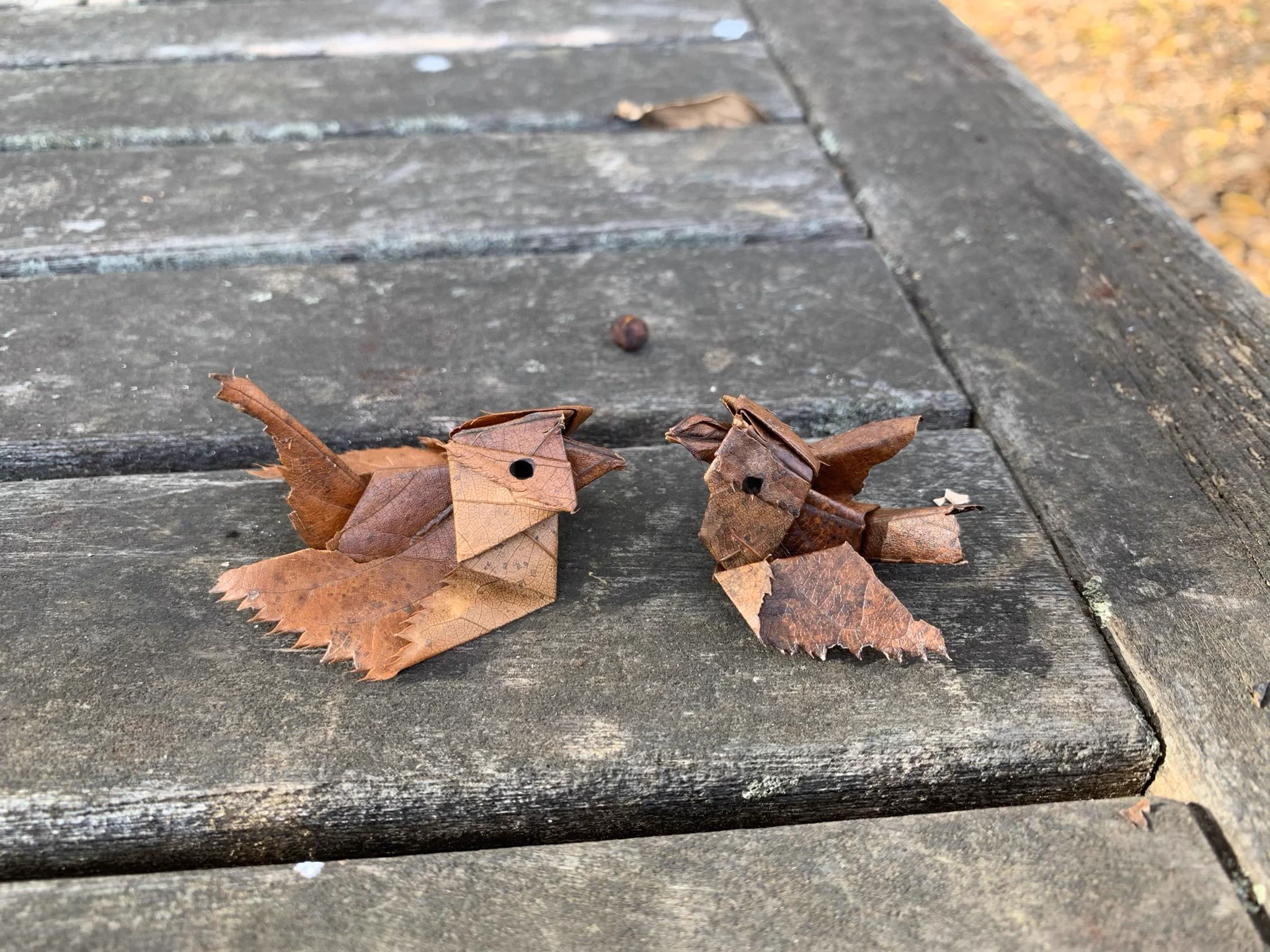 ただの落ち葉があの鳥に！桜の落ち葉で折られた可愛らしいスズメ