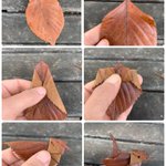 ただの落ち葉があの鳥に!桜の落ち葉で折られた可愛らしいスズメ