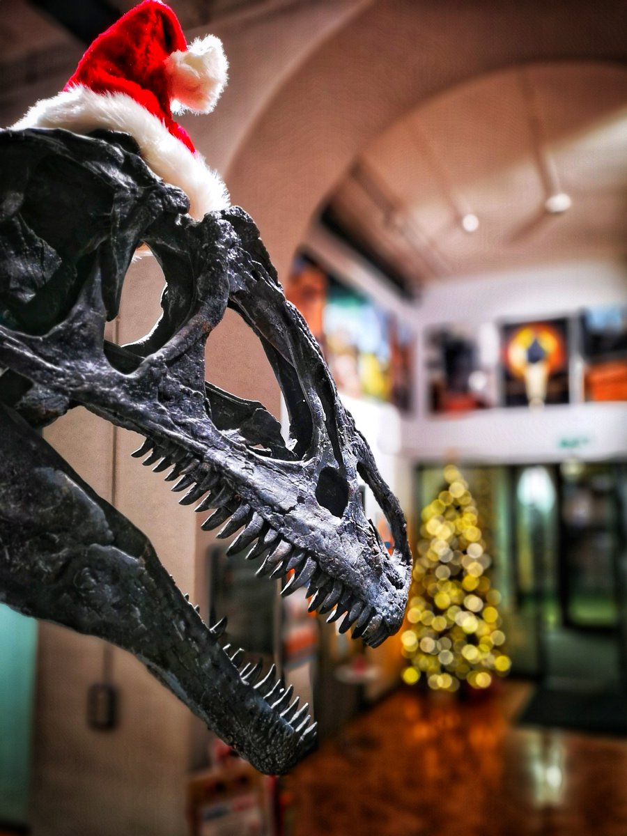 lapworthmuseum's tweet photo. Merry Christmas everyone! A huge thanks to all our amazing supporters and visitors for making 2019 such a fantastic year!

@ace_national @ace_midlands @HeritageFundUK @unibirmingham 
Photo Credit: @jayjayjjetplane https://t.co/HoVXLIoEBm