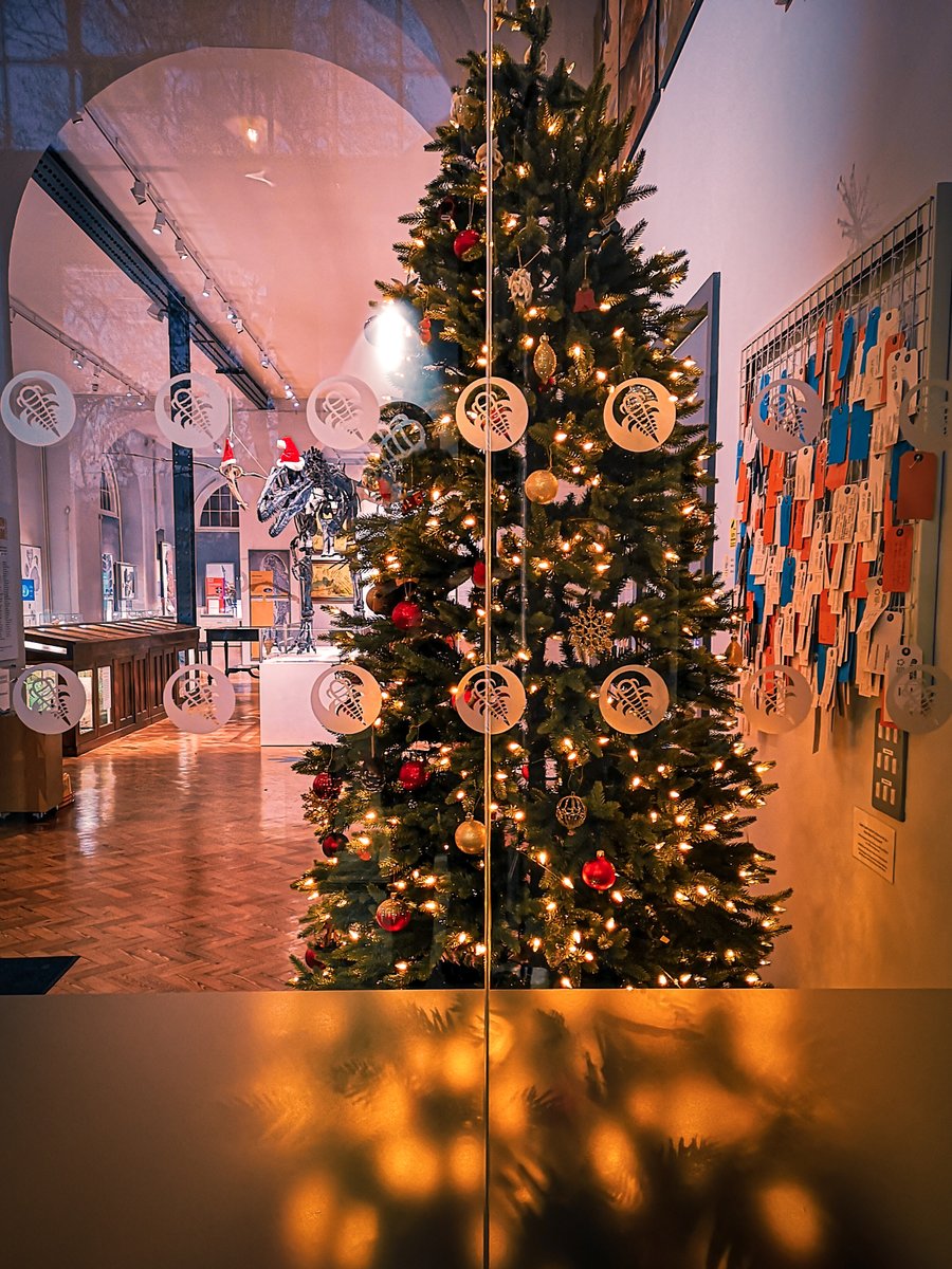 lapworthmuseum's tweet photo. Merry Christmas everyone! A huge thanks to all our amazing supporters and visitors for making 2019 such a fantastic year!

@ace_national @ace_midlands @HeritageFundUK @unibirmingham 
Photo Credit: @jayjayjjetplane https://t.co/HoVXLIoEBm