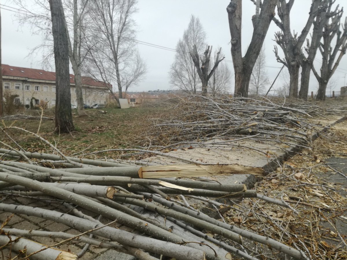 GEFRECON_POCTEP's tweet photo. ¿Se puede hacer algo con los restos de poda?
Desde #Gefrecon , proyecto @poctep, creemos que sí, y por eso vamos a poner medidas de gestión forestal conjunta para dar valor a esta biomasa
#CambioClimatico #Co2 #COP25Madrid https://t.co/PyNjFOhw2z
