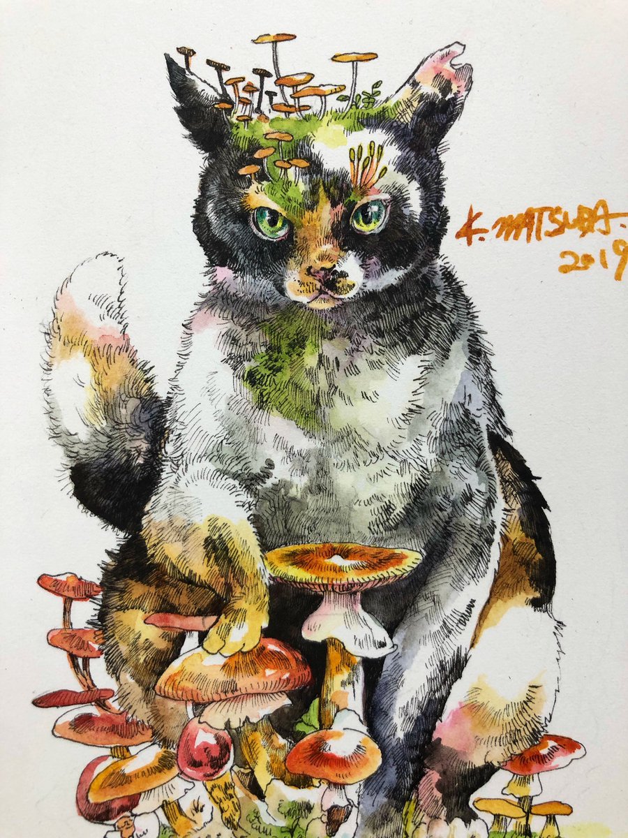 wander parlorでは簡易ですが、額装付きハガキ大原画を30,000円で」|