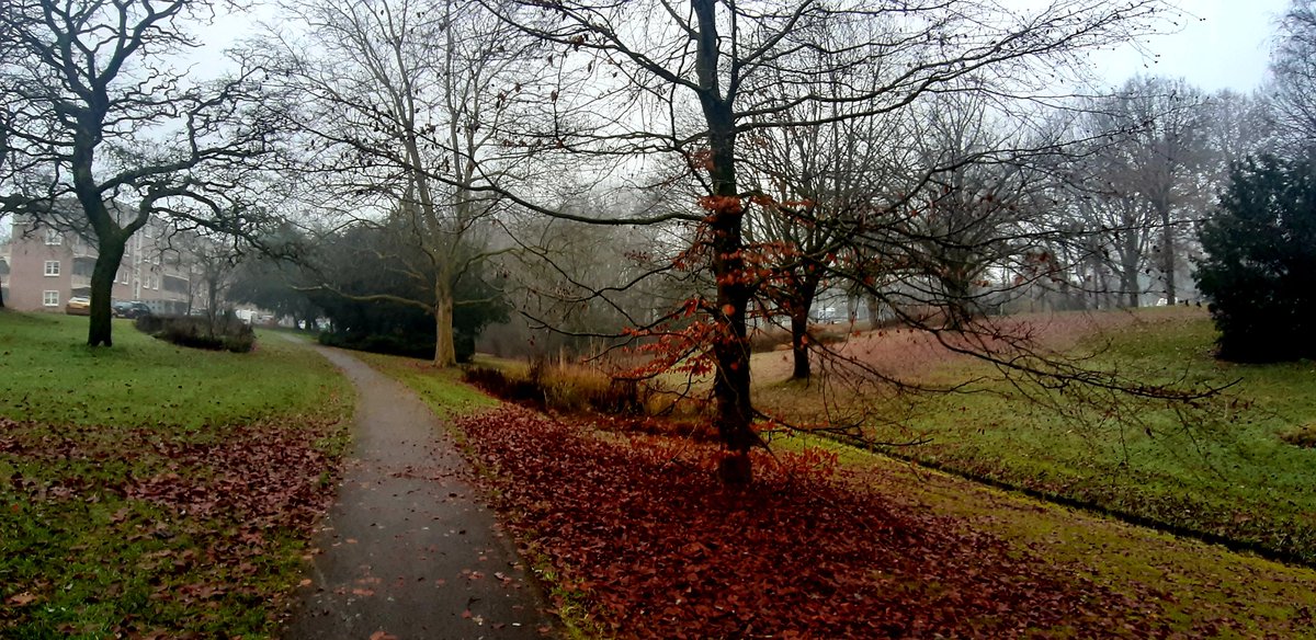 MariekeGent's tweet photo. A foggy and chilly #StetRun in Apeldoorn this morning ππ³π§£βοΈ #AmEditing #StetWalk https://t.co/jI1kEV9VgF